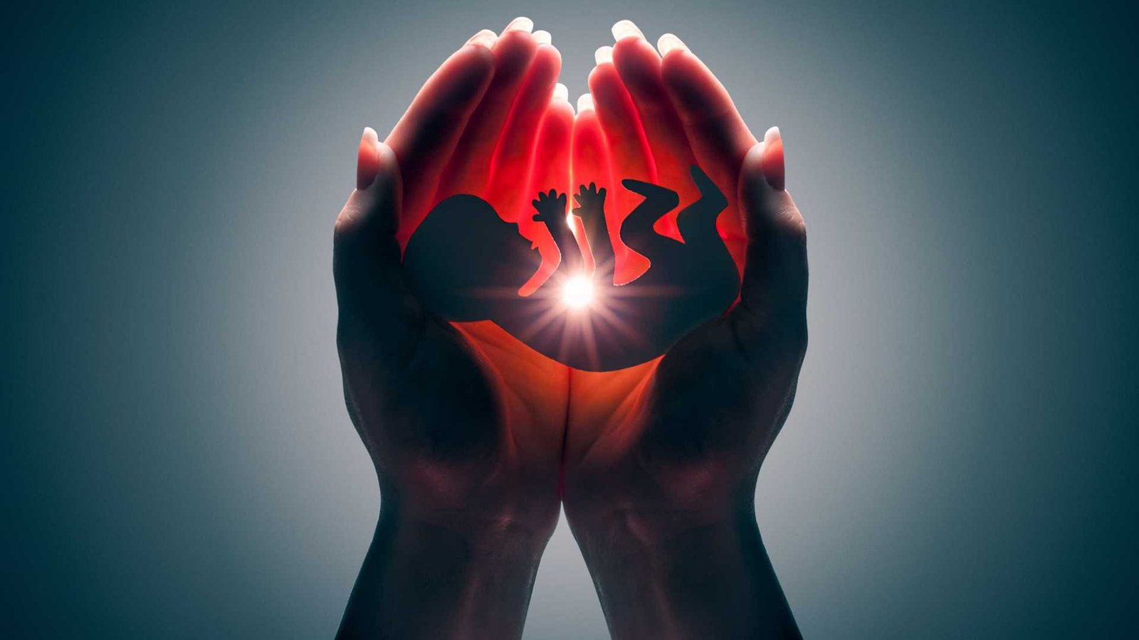 Na iminência do aborto, um importante alerta do cardeal Orani João Tempesta