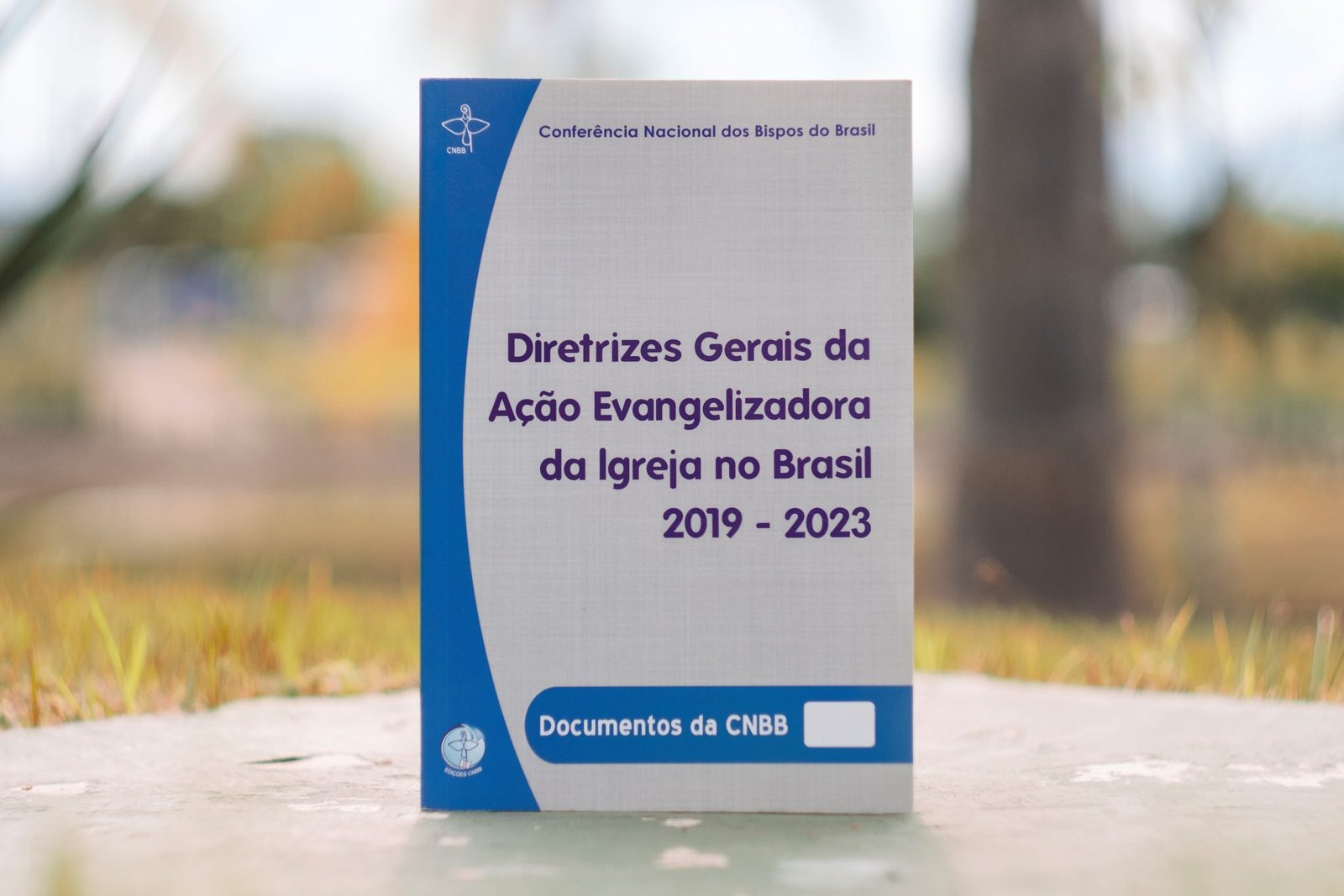 Novas diretrizes da Igreja no Brasil 2019-2023 são aprovadas pelo episcopado