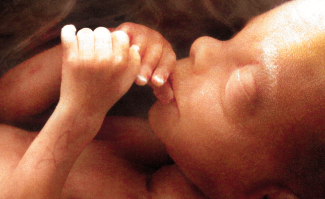 ‘Permitamos viver a mulher e o bebê’: CNBB considera importante a aprovação do PL 1904/2024