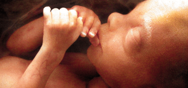 ‘Permitamos viver a mulher e o bebê’: CNBB considera importante a aprovação do PL 1904/2024
