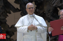 Papa Leão XIV agradece aos jornalistas pelo “serviço à verdade”