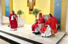 Paróquia Nossa Senhora da Piedade celebra posse de novo pároco e apresentação do vigário