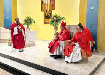 Paróquia Nossa Senhora da Piedade celebra posse de novo pároco e apresentação do vigário